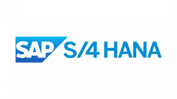 Successful SAP S/4 HANA go-live at Budapest District Heating Works Private Company (Főtáv)